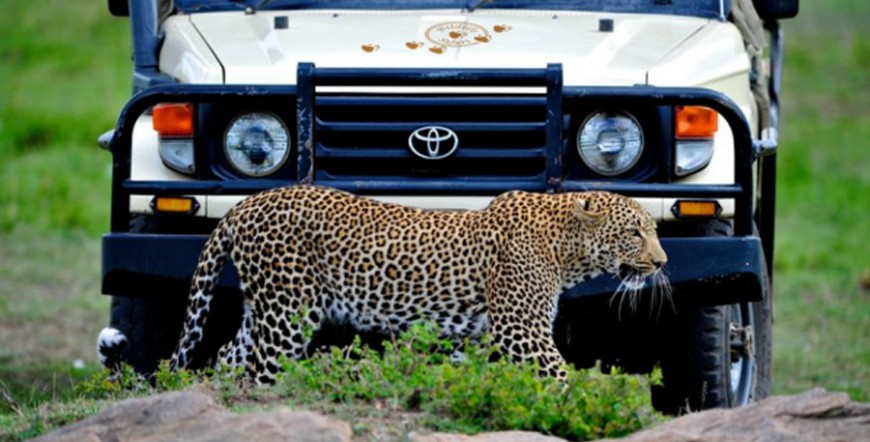 Masai Mara Luxury