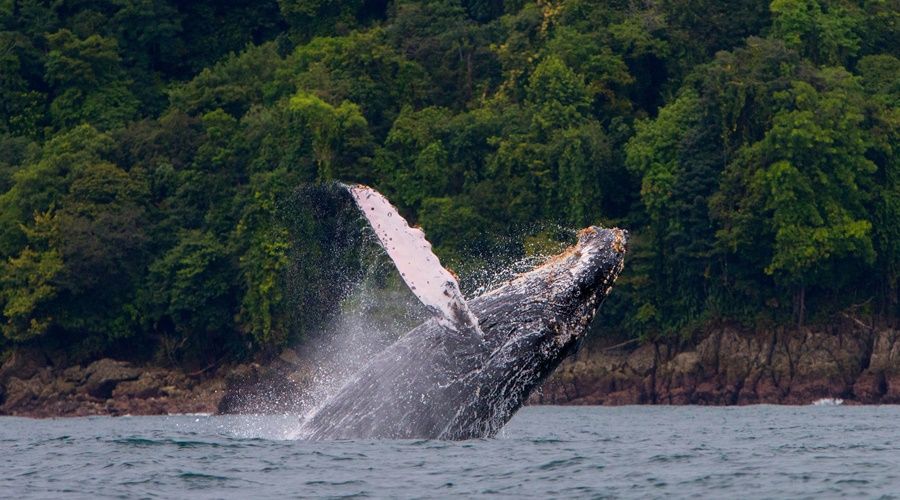 Alaska