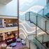 Aroya