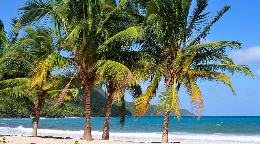 Dominican Republic