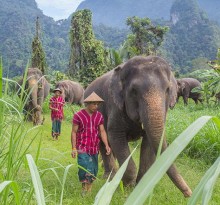 12 Nights Phuket, Elephant Hills & Koh Samui