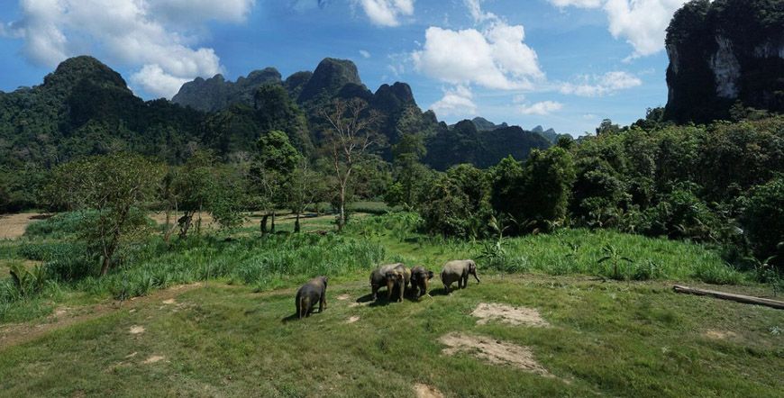 Elephant hills