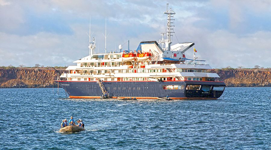 Silver Galapagos