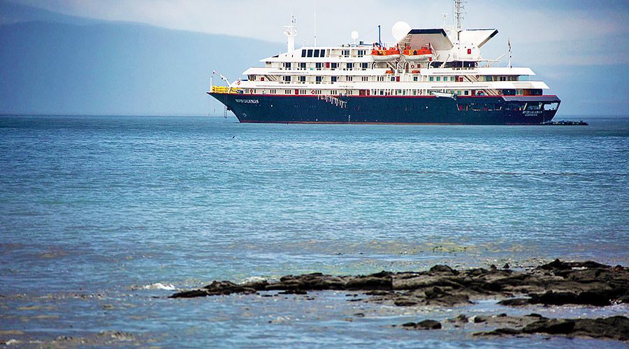 Silver Galapagos