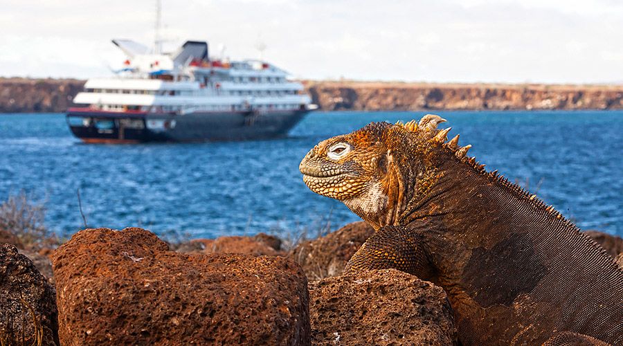 Silver Galapagos