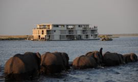 Luxury Victoria Falls, Zambezi Queen and Chobe