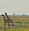 Victoria Falls & Botswana Safari with Mauritius