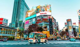 Discover Japan on a Budget: 8-Day Ultimate Starter