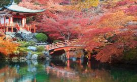 Best of Osaka, Kyoto and Hiroshima Japan