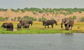 Victoria Falls & Botswana Safari with Seychelles