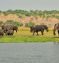 Victoria Falls & Botswana Safari with Seychelles