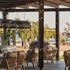Aulus Lindos Rhodes, Curio Collection by Hilton