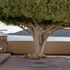 Domes Aulus Elounda, Curio Collection by Hilton