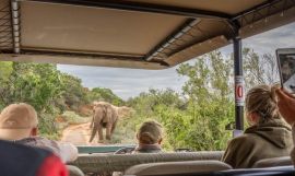 Cape Town Garden Route & Safari