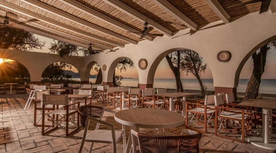 Domes Aulus Zante, Autograph Collection