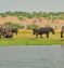 Victoria Falls, Chobe Safari & Dubai Beach