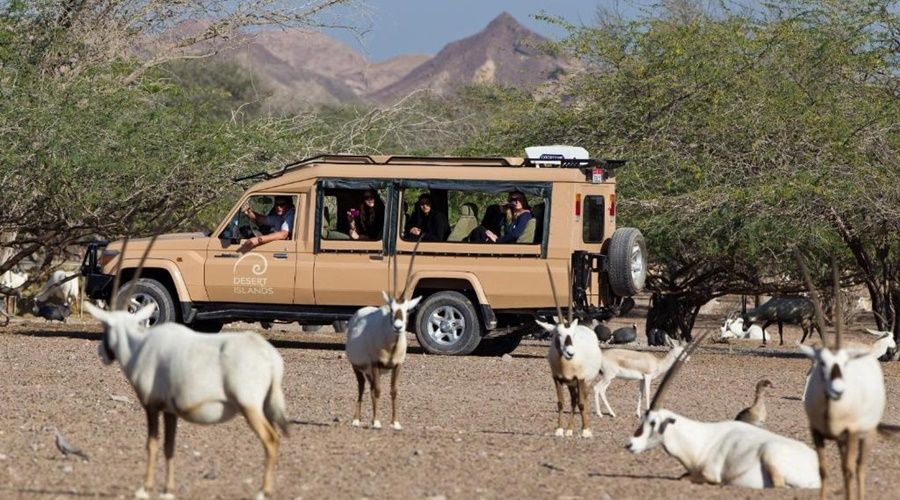 Anantara Sir Bani Yas Island Al Sahel Villa Resort