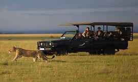 Serengeti Ngorongoro Safari with Zanzibar