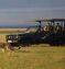 Serengeti Ngorongoro Safari with Zanzibar