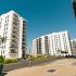 OTOLO Homes