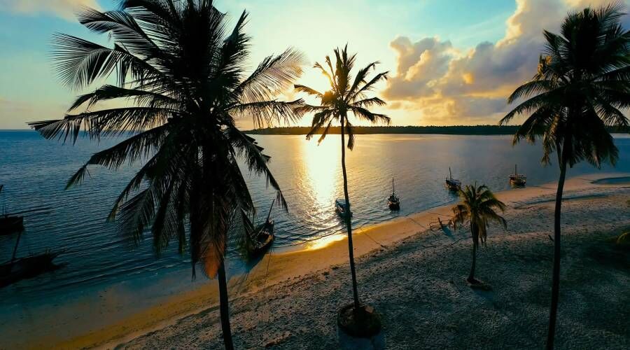  Basecamp Mafia Island