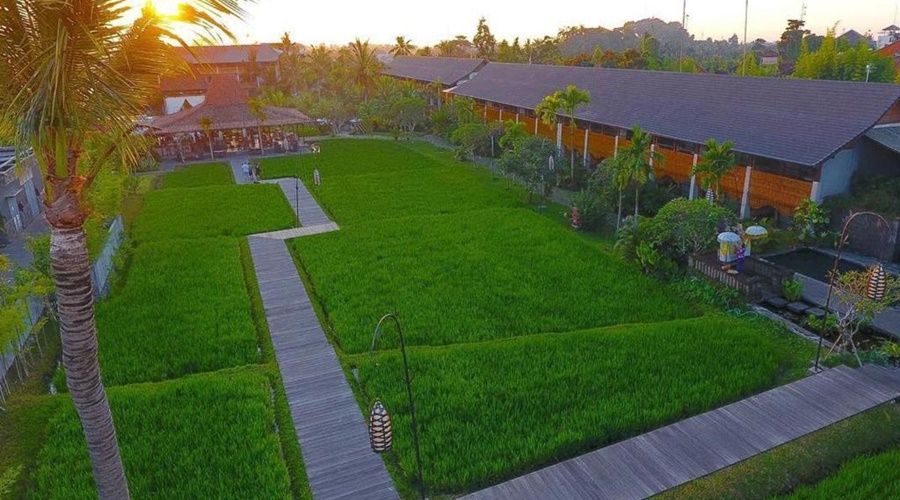 Alaya Resort Ubud