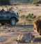 Cape Town, Wildlife, Wine and Garden Route Group Tour