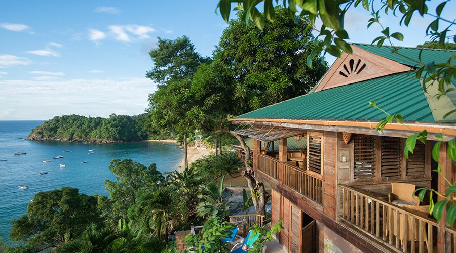 Treetops bedroom