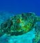 All-Inclusive Luxury Cruise from Bali to Singapore with Stays