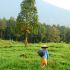 Indonesia