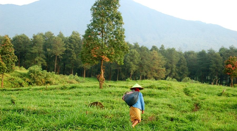Indonesia