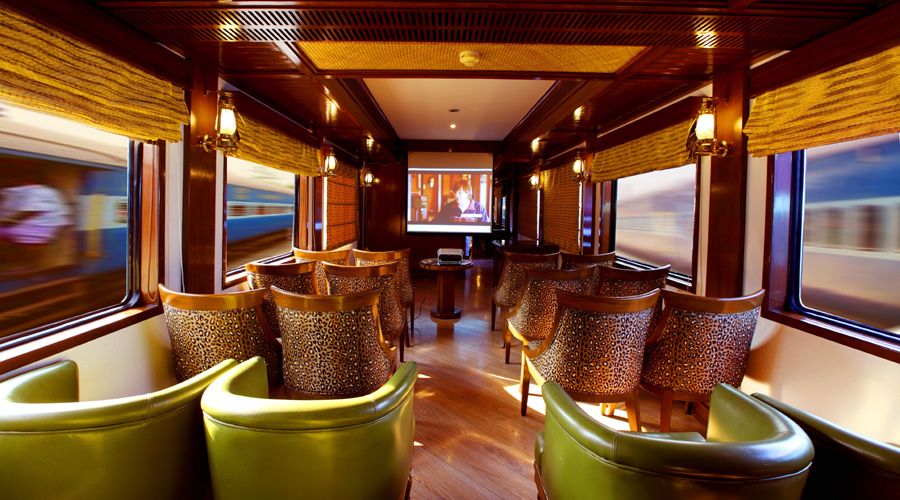 maharaja luxury trains express guests safari bar