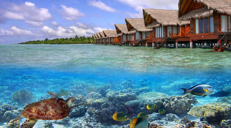 Maldives