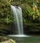 Southern Caribbean Adventurer from Puerto Rico