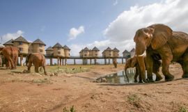 7 Nights Mombasa Beach Holiday & 2 Nights Safari