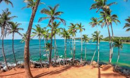 15 Nights Grand Tour of Sri Lanka (Escorted Tour)
