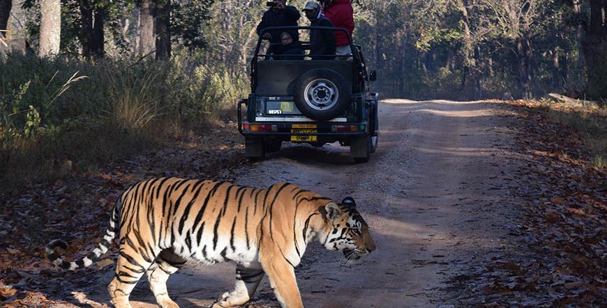 Ranthambore