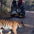 Ranthambore